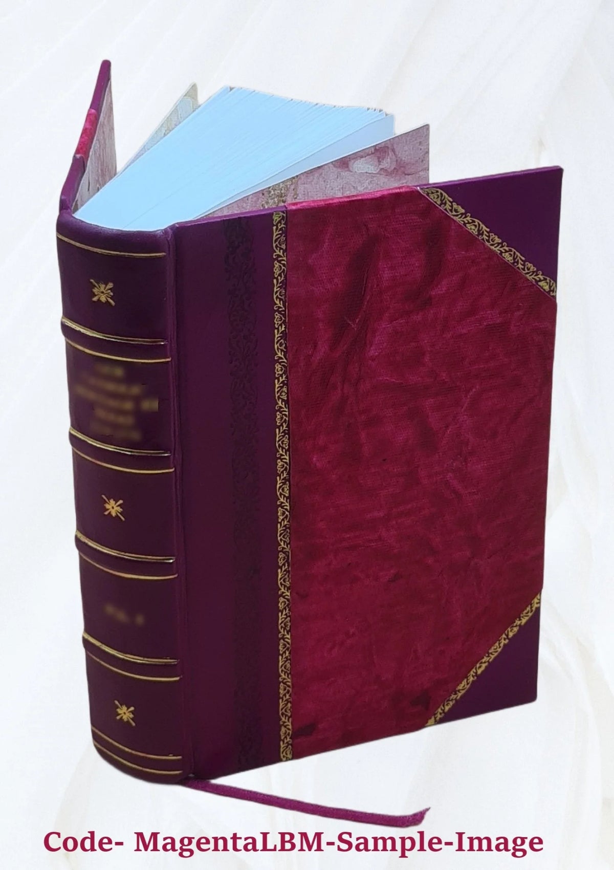 Leather Bound Book T9666